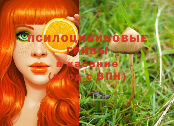 mix Лабытнанги