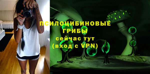 а пвп мука Ладушкин